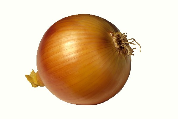 Кракен основной сайт onion top